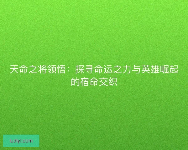 天命之将领悟：探寻命运之力与英雄崛起的宿命交织