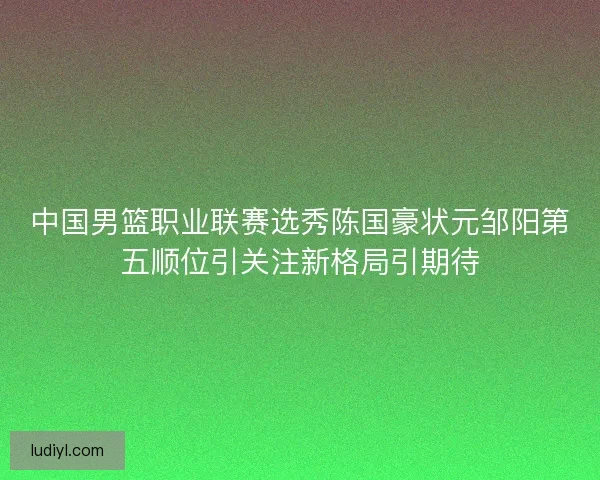 中国男篮职业联赛选秀陈国豪状元邹阳第五顺位引关注新格局引期待