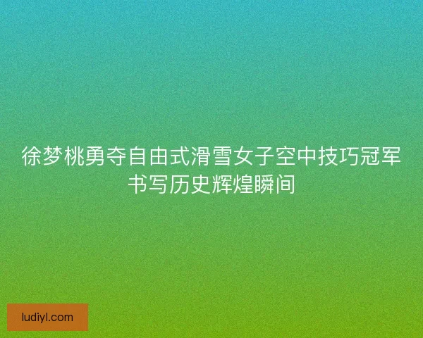 徐梦桃勇夺自由式滑雪女子空中技巧冠军书写历史辉煌瞬间